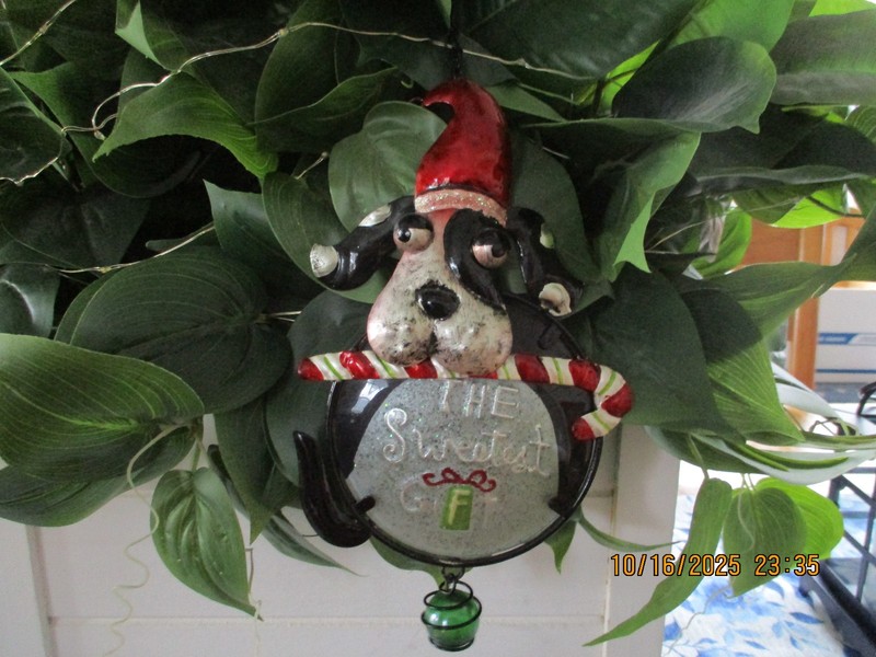 Christmas/Holiday Silly Dog Metal Ornament/Wall Hanger 8.5" tall Unique Mint