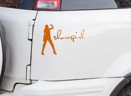 Showgirl/ Life of a Showgirl, Taylor Swift, Computer/Car/Cup Vinyl Decal 5x3 - Picture 2 of 3