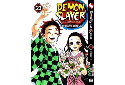 Demon Slayer Kimetsu no Yaiba Manga Comic English Version Book