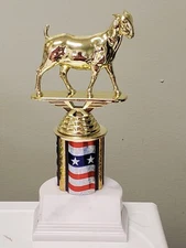 GOAT trophy, award, about 7" high, includes engraving, 4H, Fair, Livestock