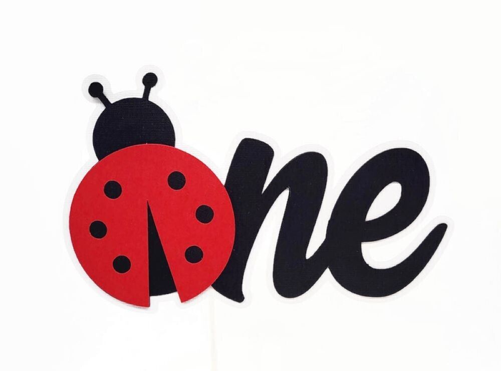 Ladybug ONE Cake Topper, Cute As A Bug Girl 1st Birthday Garden Party  Decoration