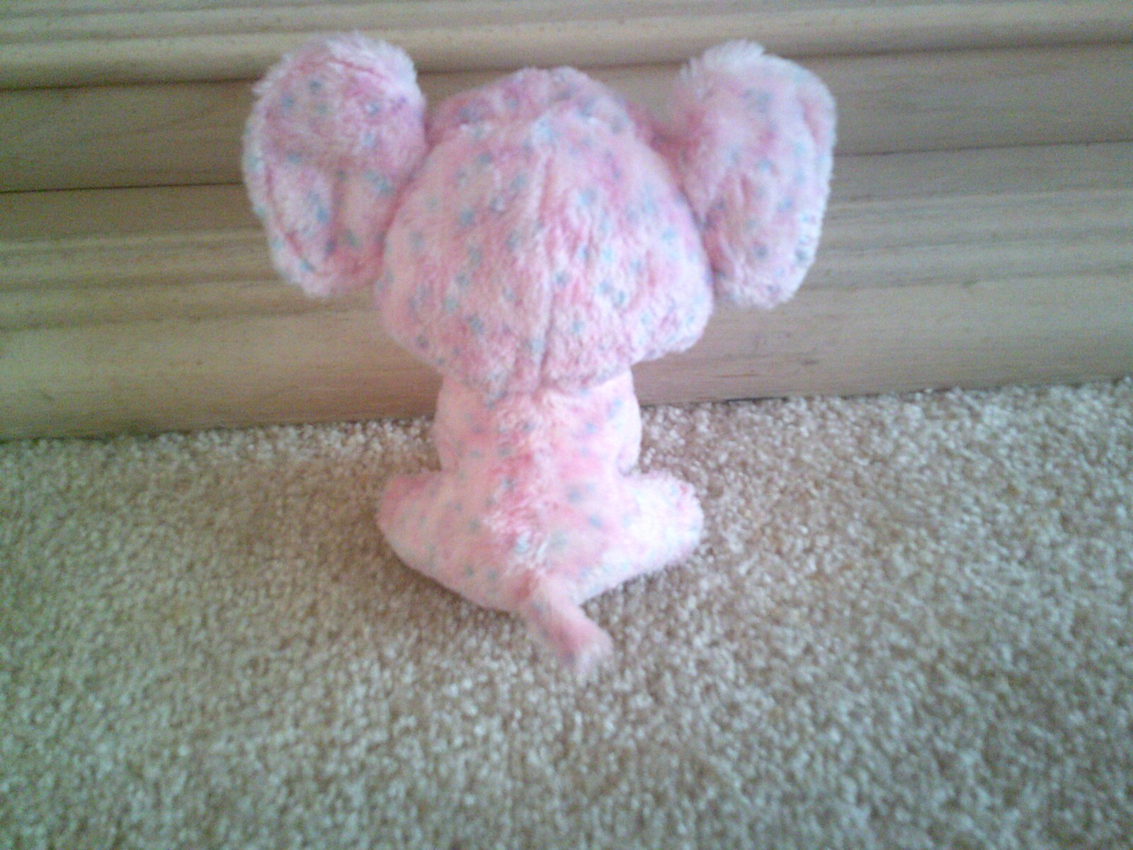 Picture 3 of 3