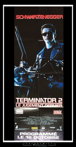 TERMINATOR 2 J. Cameron French Door Panel Vintage Movie Poster Original 1991