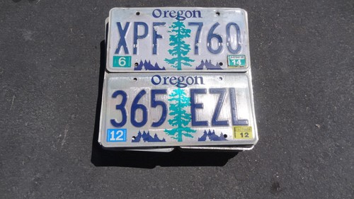 100 Oregon embossed craft grade plates bulk listing excellent for crafts!!!!