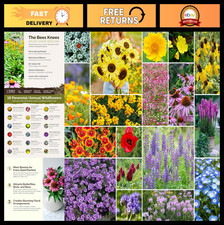Wildflower Mixed Seeds - 1 lb, 480,000+ Seeds - Attract Pollinators, Plant Sprin 90.99 per gallon