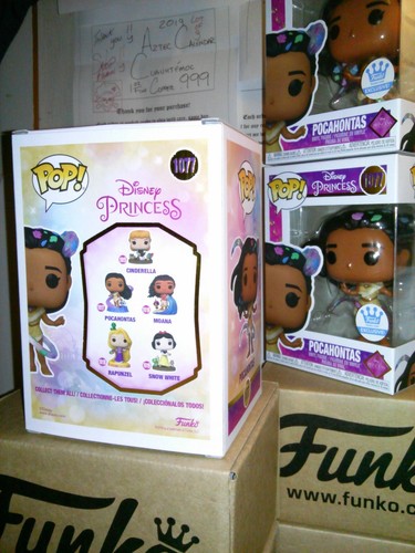 Funko Pop *DBL Boxed* Disney POCAHONTAS (w/ Leaves) #1077 Pop Up Shop Excl *NEW* - 第 4/11 張圖片