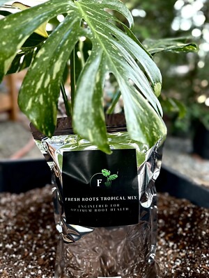 Tropical Mix Potting Soil