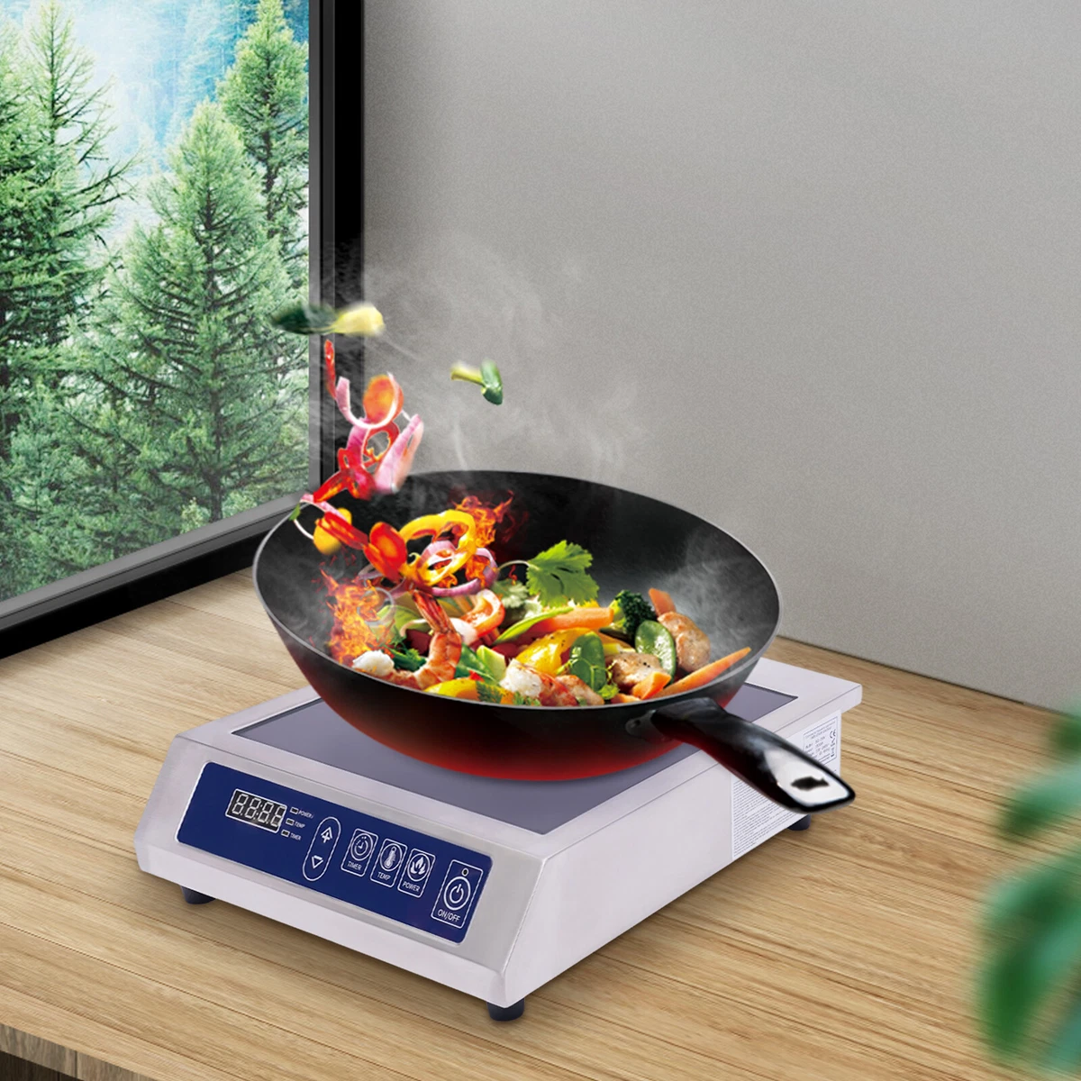 Induction 2024 cooker voltage
