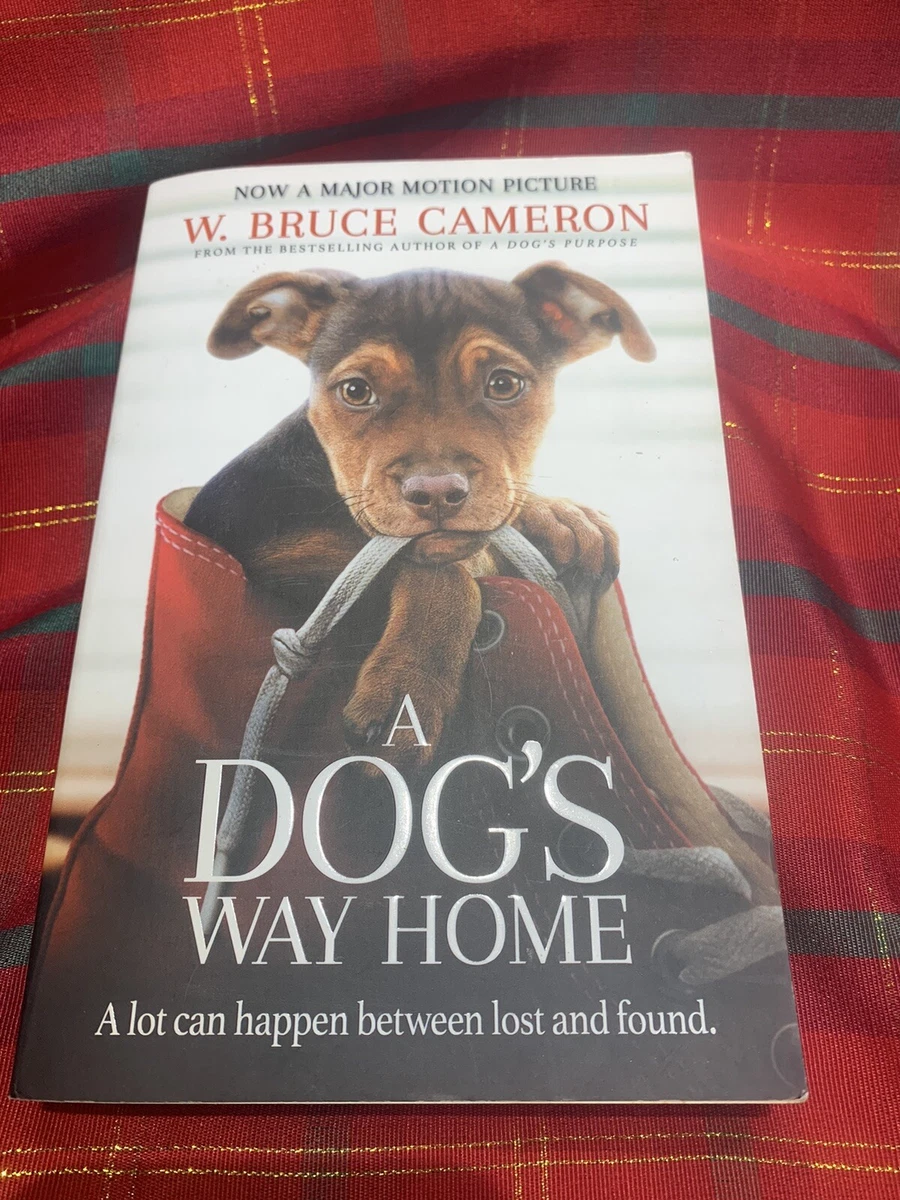 A Dog s Way Home The Heartwarming Story of the Special Bond