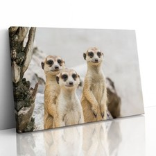 Meerkats Group Cute Canvas Framed Print Picture Wall Art