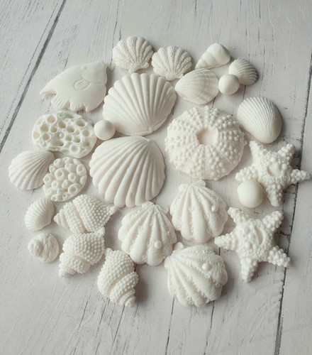 Fondant Large Seashells Cake Cupcakes Decorations DIY x 30 - Picture 4 of 6