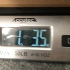 Bild 15 von 16