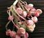 thumbnail 7  - Vintage 1940s Velvet Pink Green Berries Hand Wrapped 1 Bundle Made in Japan