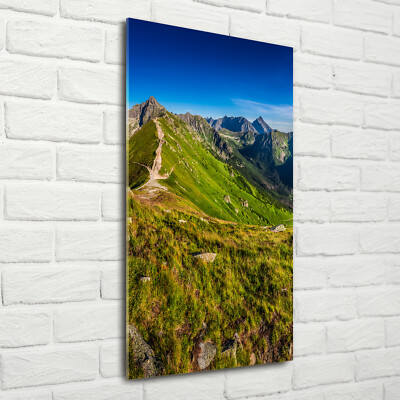 Wand-Bild Kunstdruck aus Hart-Glas Hochformat 70x140 Hohe Tatra