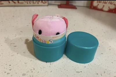 cailey micromallow