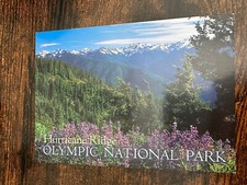 Hurricane Ridge Olympic National Park Washington Postcard
