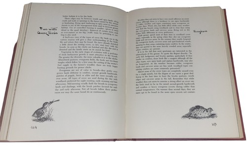 1954 Spaß WIth Spiel Vögel Fred Everett Jagdvogel Stapel Bücher - Bild 7 von 8