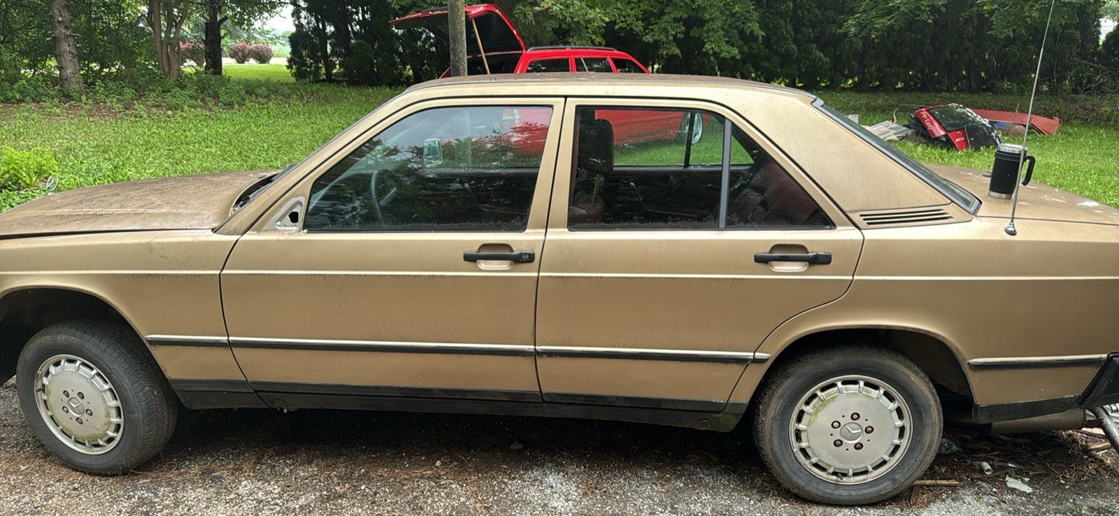 Rear Left Door 1985 Mercedes Benz E190