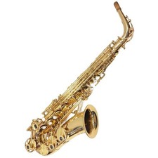 YANAGISAWA A-800 ELIMONA Alto Saxophone Used with Case Mouthpiece
