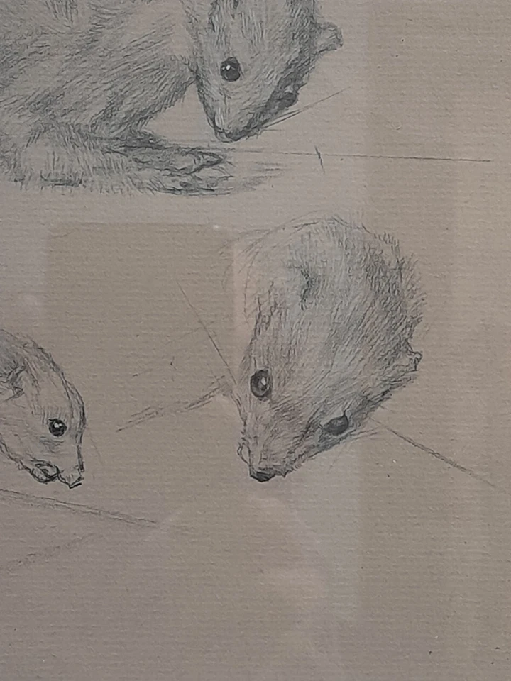 Dibujo a lápiz original Harold Cohen Foto 4 de 4