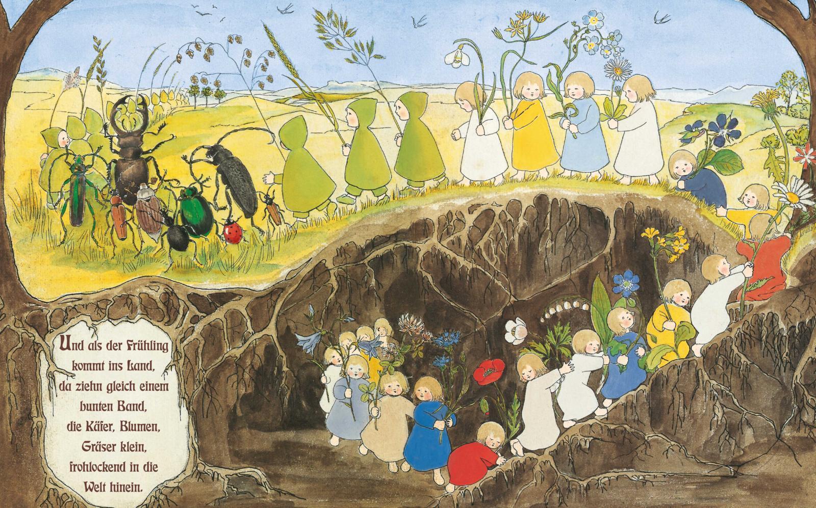 Thumbnail - Etwas Von Den Wurzelkindern: Pappbilderbuch Sibylle Von Olfers