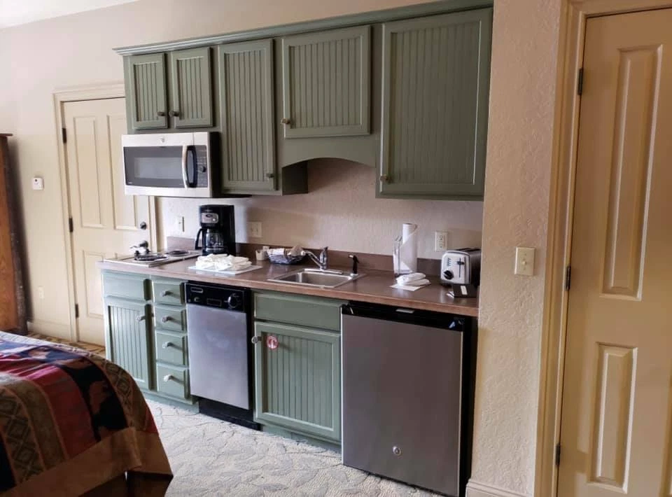 FEB 14-17th VALENTINES WKND (4Days/3n) BigCedar Wilderness STUDIO sleeps up to 4 - Image 3 of 4