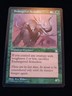 Magic the Gathering MTG Endangered Armodon Stronghold   LP 1998