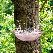 Garden Bird Bath with 23 5 cm Diameter for Hummingbirds and Wild Birds