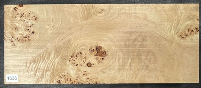 BiColor Maser Pappel | Poplar BURL | ca. 370 x 150 x 50 mm | #1636