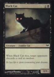 Black Cat 54/158 Dark Ascension Magic: The Gathering Common