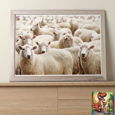 Süßes Schaf Foto/Poster bis 36 Zoll