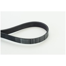Continental Ctam Keilrippenriemen 11288580361 | 623658