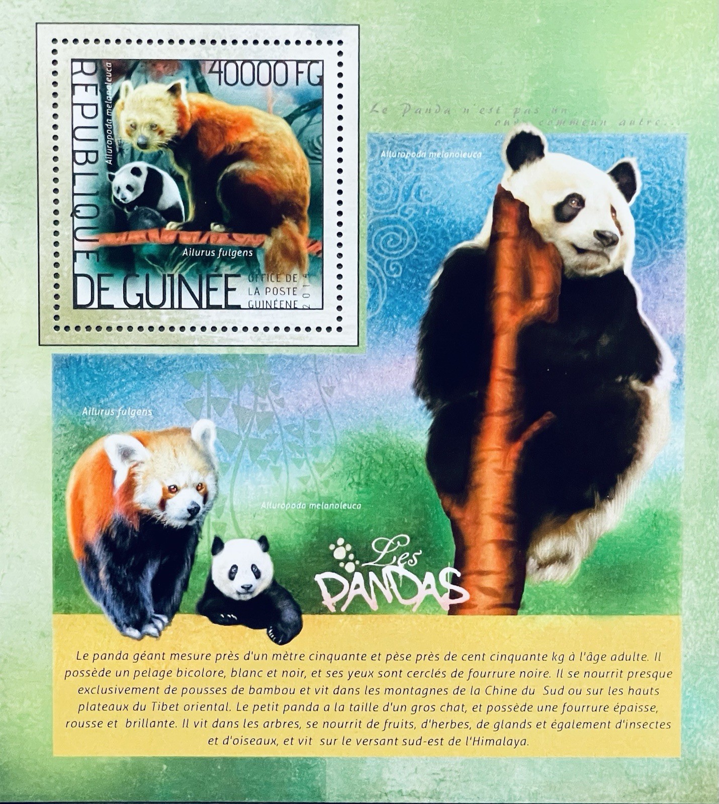 GUINEA PANDAS STAMPS S/S MNH 2014 RED PANDA BEAR WILD ANIMALS FAUNA WILDLIFE
