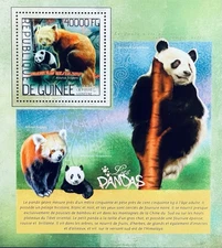 GUINEA PANDAS STAMPS S/S MNH 2014 RED PANDA BEAR WILD ANIMALS FAUNA WILDLIFE
