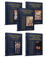 anatomia del gray libri nuovi ancora incartati
