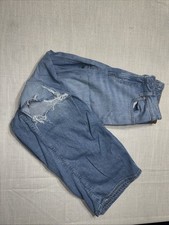 American Eagle Low-Rise Baggy Wide Leg Distressed Jeans