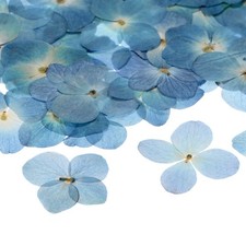 12er-Pack Trockenblumen f&uuml;r Harz, echt, DIY Blau Wei&szlig;