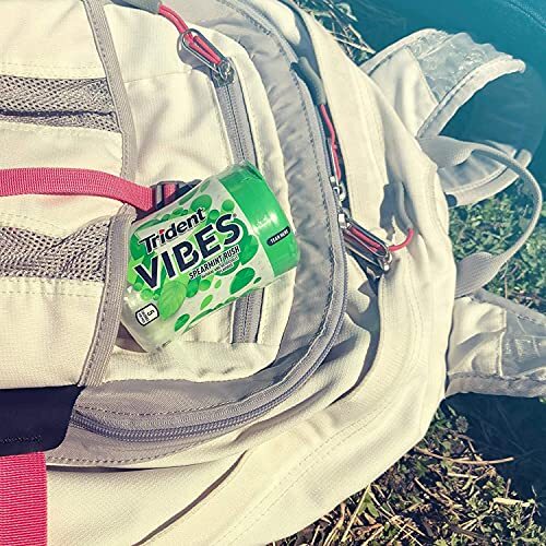 Trident Vibes Spearmint Rush Sugar Free Gum 6 Bottles of 40 Pieces 240 Total ... - Afbeelding 5 van 12