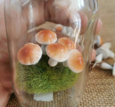 Fairy Garden Color Miniature Dollhouse Clay Mushroom Terrarium Garden Decor