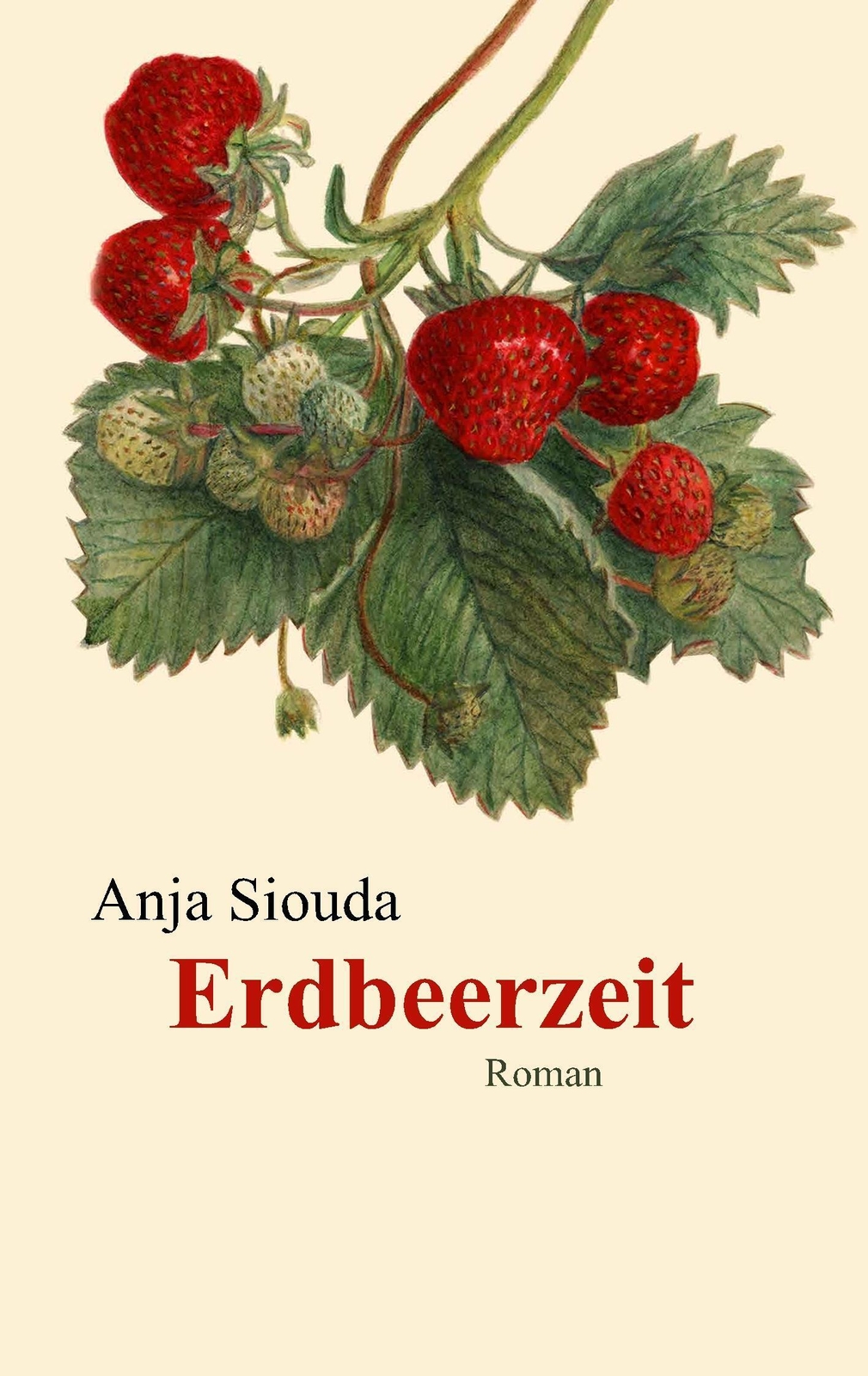Thumbnail - Erdbeerzeit Anja Siouda Taschenbuch Paperback 280 S. Deutsch 2017