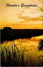 Florida's Everglades Tranquil Scene Sunset Postcard used (21224)