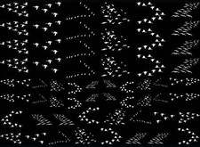 Bird Flocks 61 pcs White Fused Glass Decals