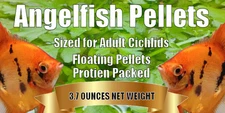 Angelfish Pellets - One Pound