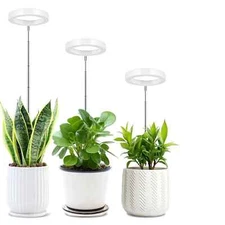 USB Angel Ring Grow Light Phytolamp for Plants with Control Full Spectrum