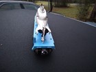 Bild 4 von 8