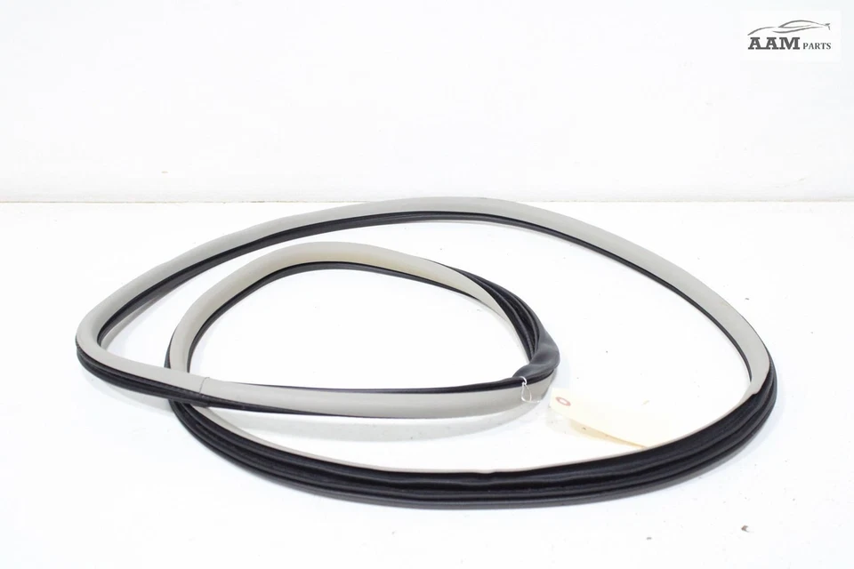 Cadillac CTS 2014-2019 carrocería de puerta trasera izquierda resistente a la intemperie sello de goma OEM Foto 2 de 4