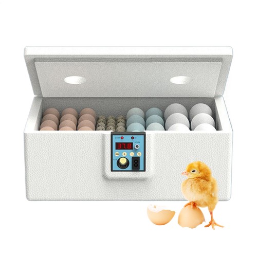 Incubator For Eggs 10-25 Chicken Egg Incubator Intelligent Poultry In Style