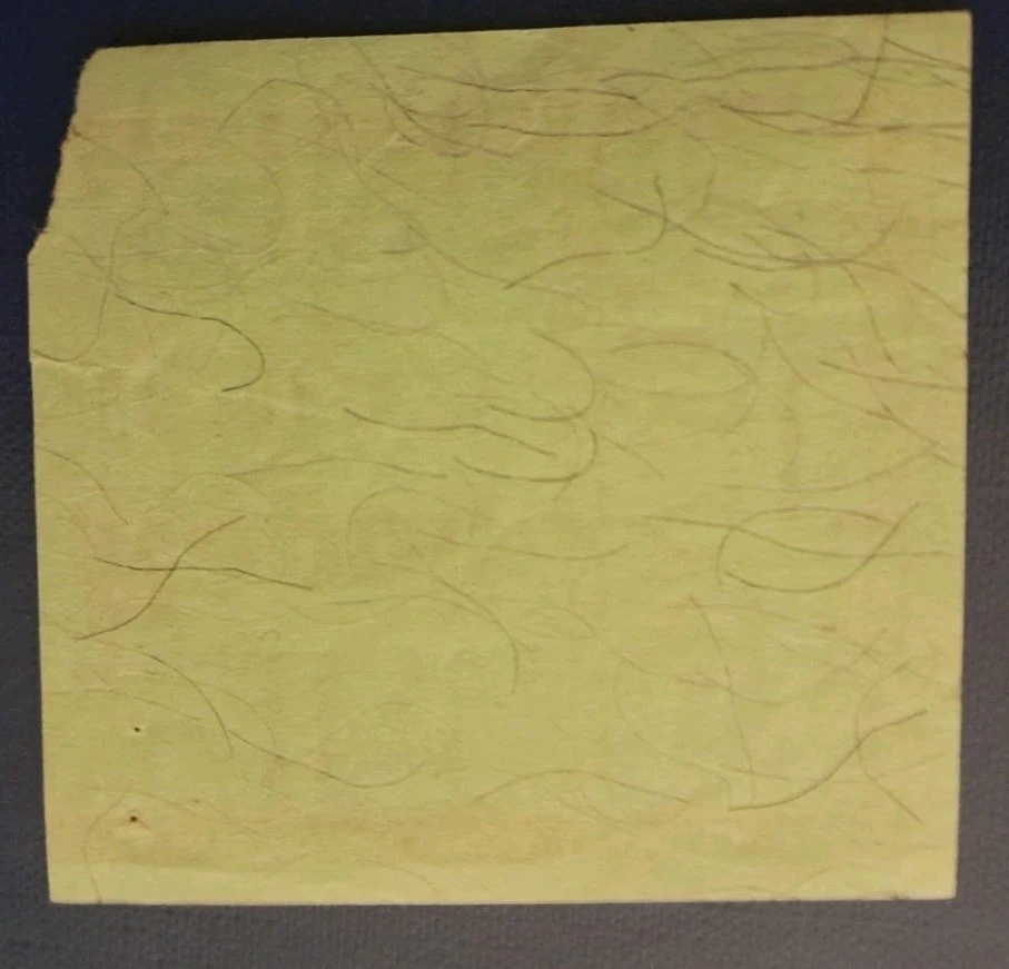 Biglietto Calcio Sampdoria Napoli 1967-68 - Immagine 2 di 2