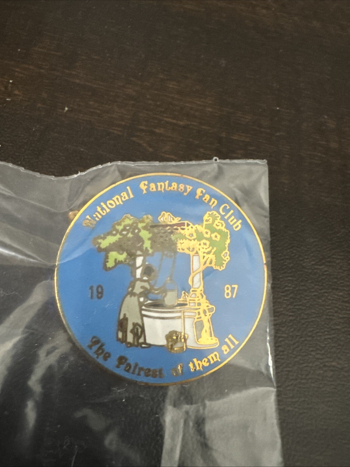 Rare 1987 National Fantasy Fan Club Pin The Fairest of Them All Snow White