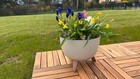 Bild 8 von 8